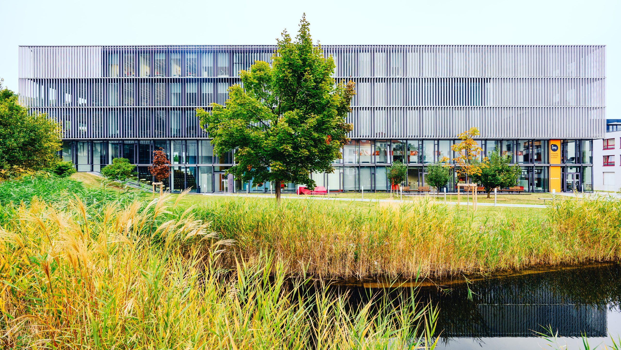 IMCKrems_Hochschule__Head